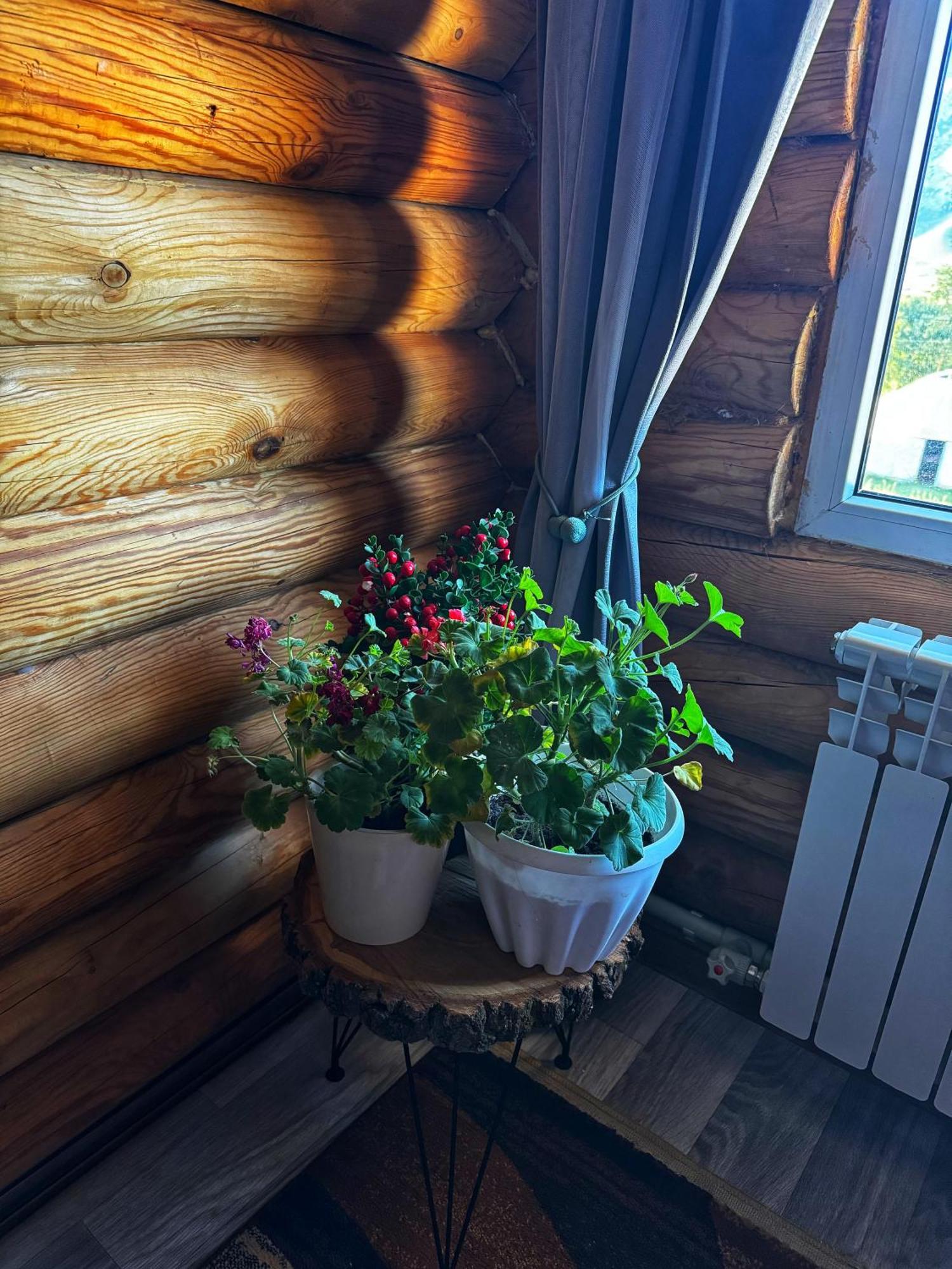 Kolsay Kazakh Village Saty Екстер'єр фото